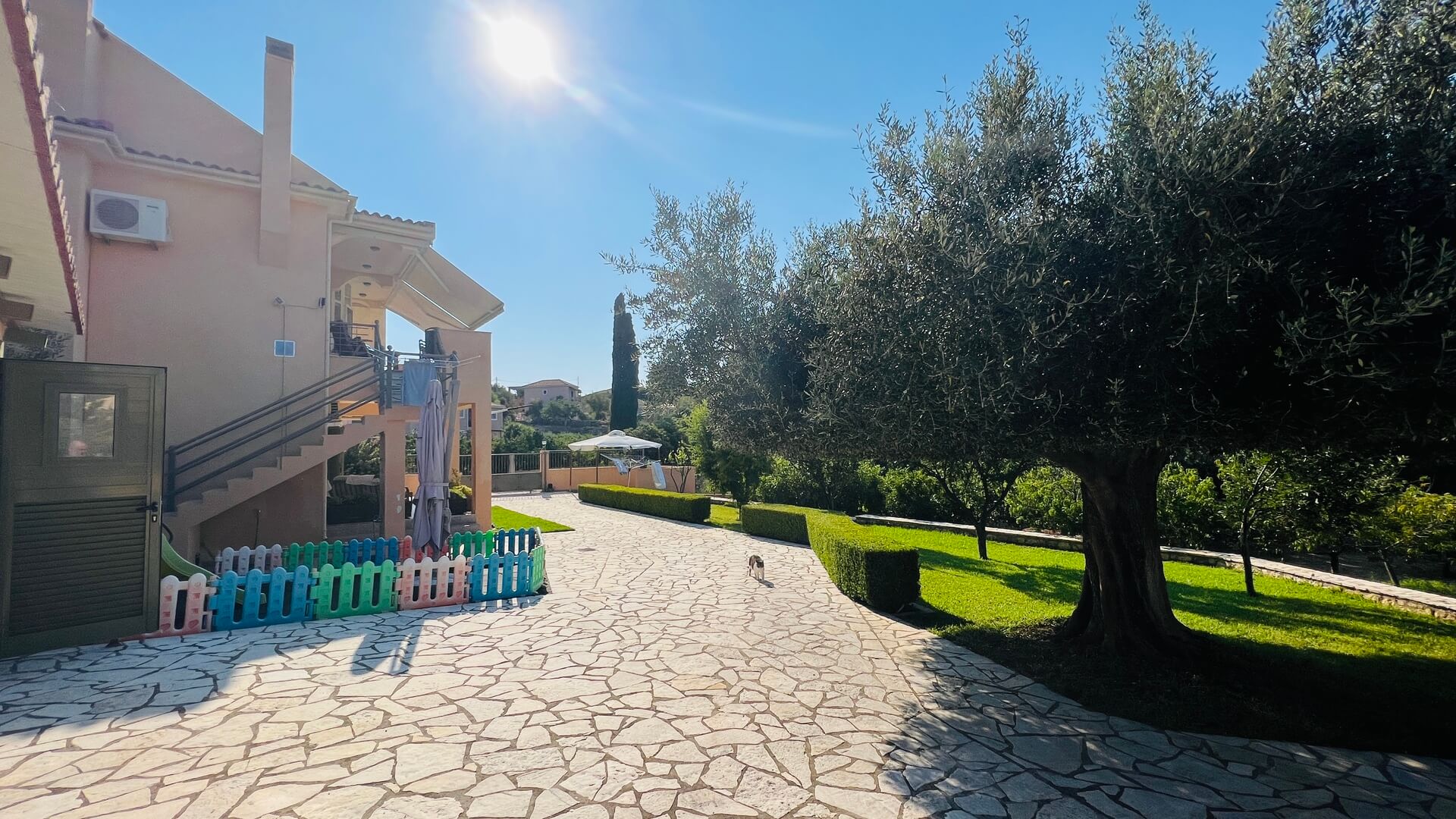 garden 3.jpg